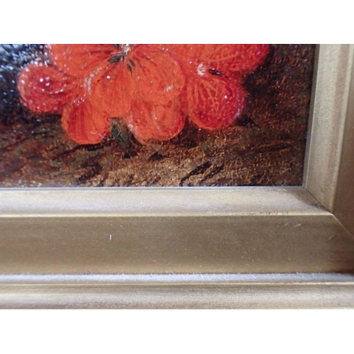 703 - GEORGE CLARE: WILD FLOWERS AND BIRD'S NEST oil on canvas 23 x 31cm plus moulded and gilt frame