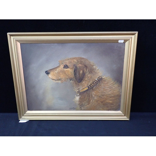 720 - H. HUNTER: PORTRAIT OF A DOG oil on board, dated 1934 and signed, 37 x 52cm plus frame (some surface... 