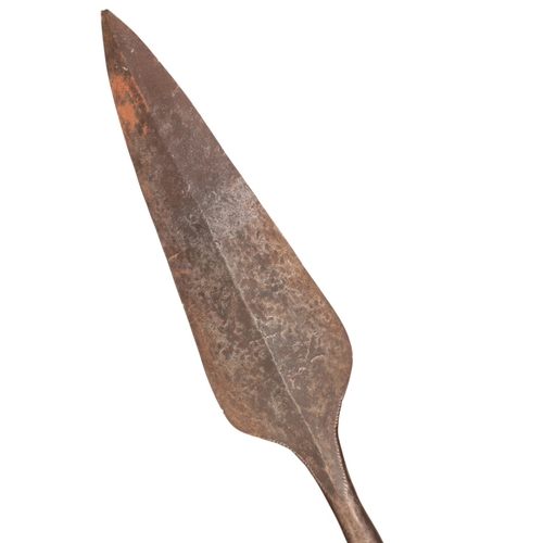 207 - A MASAI HUNTING SPEAR

late 19th century, the carved fruitwood shaft with tapered spear head, 189cm ... 