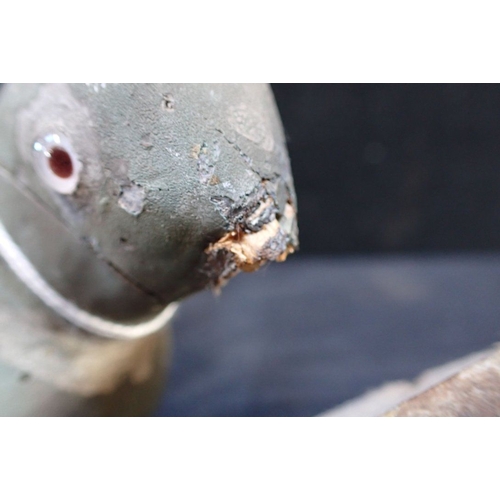 124 - AN OLD WOODEN DECOY PIGEON

37cm long (damage, woodworm), with a Geoffrey Bickley carved fish (a/f),... 