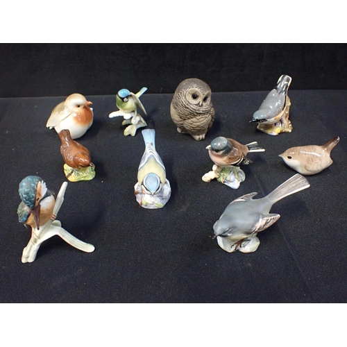 67 - A BARBARA LINLEY ADAMS POOLE OWL CHICK, BESWICK BIRDS Goebel kingfisher, and others (10)