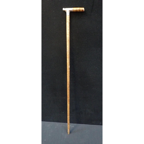 240 - A SILVER MOUNTED WHISTLE STICK, LONDON 1909 with a collection of walking sticks, including bone and ... 