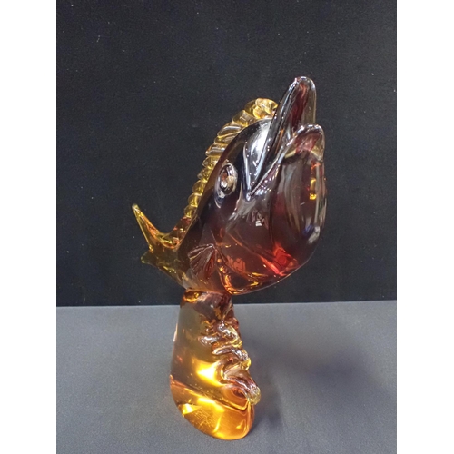 242 - A LARGE MURANO AMBER GLASS FISH, PROBABLY ARCHIMEDE SEGUSO 39cm high