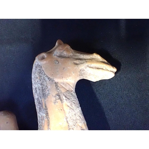 317 - TANG CAMEL, WITH BROKEN LEGS with original valuation and invoice