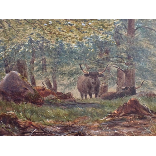 718 - J.J. BANNATYNE: WOODLAND WITH CATTLE watercolour, in gilt frame 50 x 65cm (unglazed, frame damaged)