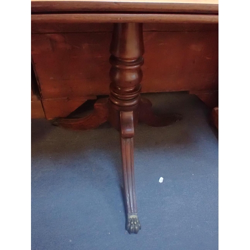 810 - A 19TH CENTURY MAHOGANY TEA TABLE on tripod base with lion paw brass terminals 94cm wide