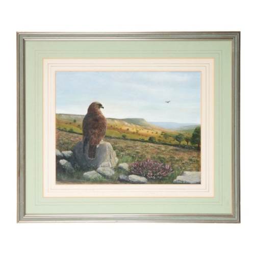 295 - RAB EMBERLEY Buzzards in a landscape

one perched on a rocky outcrop with heather, and the other in ... 