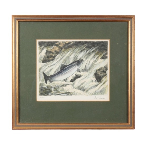 298 - TIM HOARES A set of five coloured fishing prints

limited edition of 10/250, framed and glazed, 15cm... 