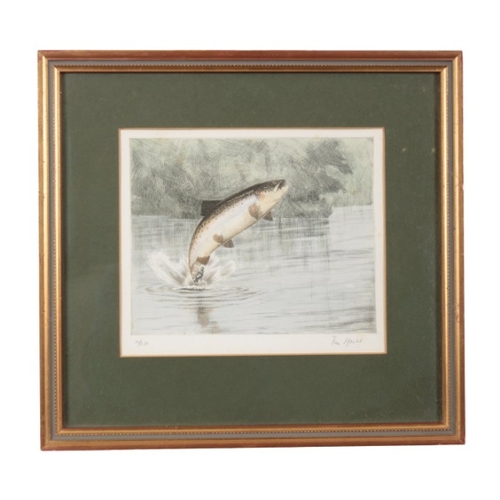 298 - TIM HOARES A set of five coloured fishing prints

limited edition of 10/250, framed and glazed, 15cm... 