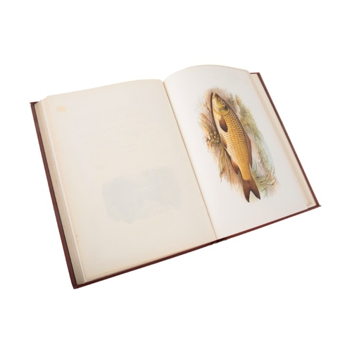 323 - HOUGHTON, REV. W., 'British Fresh-Water Fishes'

two copies, each apparently first edition but colla... 