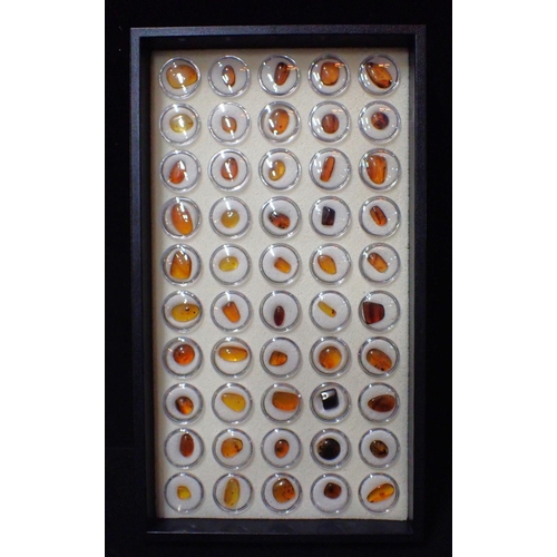 412 - 50 SPECIMENS OF AMBER contained in a tray