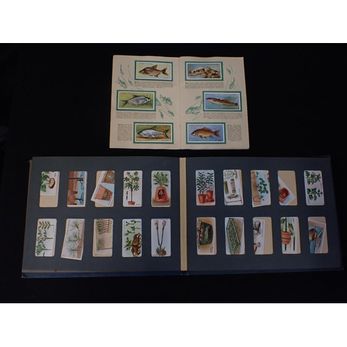 531 - TWO CIGARETTE CARD ALBUMS containing Wills's Gardening Hints series, and others (2)