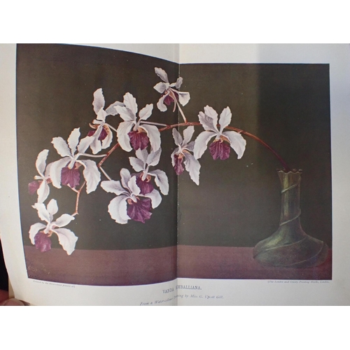 558 - W WATSON & H CHAPMAN: ORCHIDS Their Culture & Management, London and New York, 1903