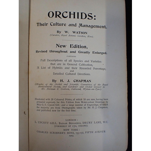 558 - W WATSON & H CHAPMAN: ORCHIDS Their Culture & Management, London and New York, 1903