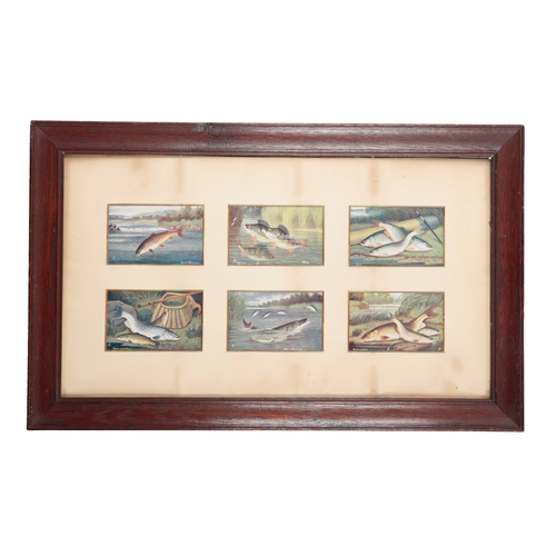 296 - ROLAND KNIGHT: A SET OF SIX COLOURED PRINTS

framed and glazed, with inscriptions 