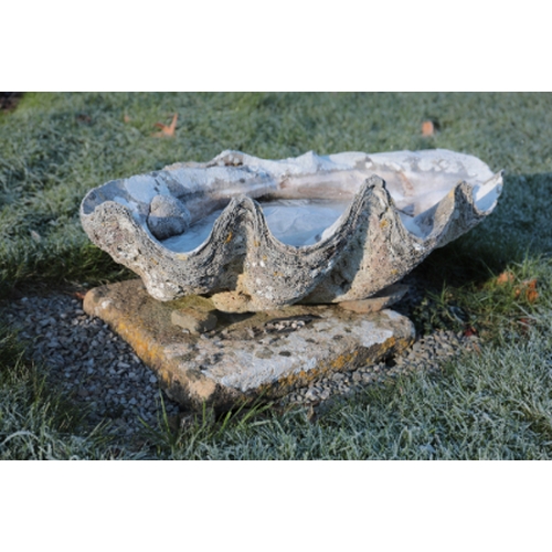 471 - TWO GIANT CLAM SHELLS

78cm wide (2)