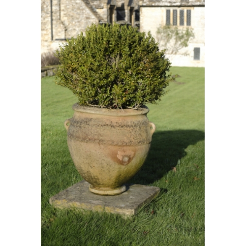 477 - A ROMAN STYLE TERRACOTTA GARDEN URN

of bulbous form with simple pierced lug handles at the shoulder... 