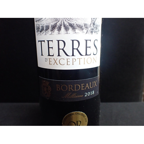 49 - SIX BOTTLES TERRES D'EXCEPTION BORDEAUX 2018 and four bottles Vielle Vignes Cotes du Rhone 2017 (10)