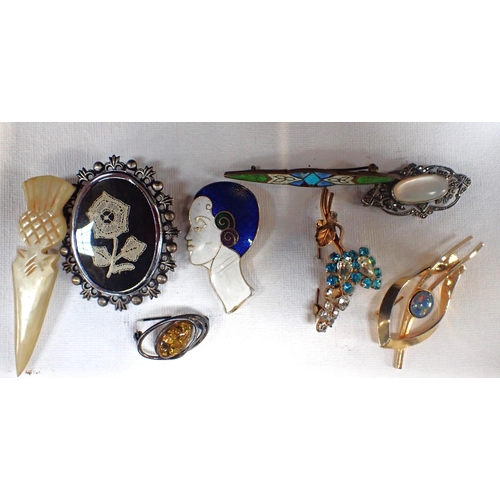 517 - A SELECTION OF COSTUME JEWELLERY including two agate brooches, all mounted to three canvases