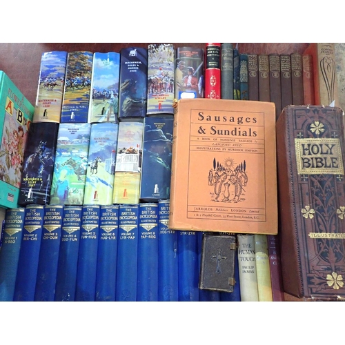 630 - A VICTORIAN FAMILY BIBLE pubished by Cassell, Petter and Galpin, with Langford Reed; 'Sausages and S... 