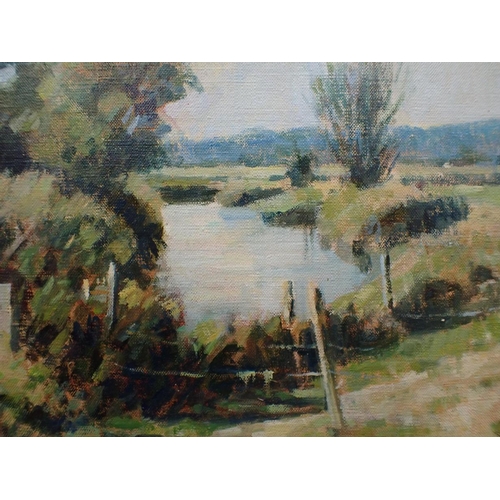 645 - MICHAEL BOWMAN, B.1943: COUNTRY VIEW oil on board 49 x 59cm (framed), and another of a cottage (2)