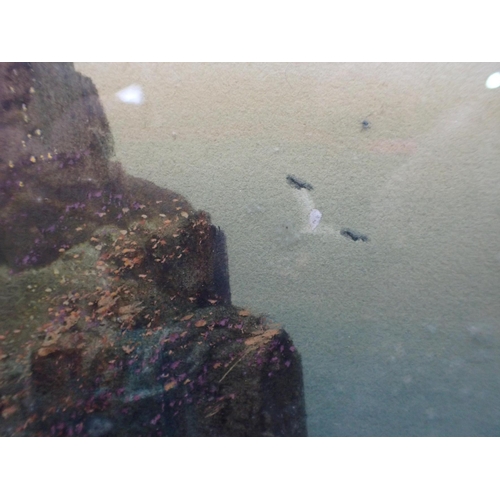 649 - MANNER OF F.T. WIDGERY: SEASCAPE with cliffs and rocks, indistinctly signed 48 x 64cm framed (spotte... 