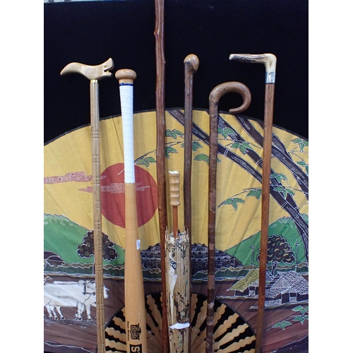 206 - WALKING STICKS, AFRICAN CARVED WOOD fans, a baseball bat and other wooden items