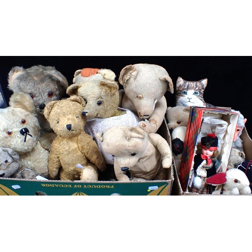 242 - A COLLECTION OF TEDDY BEARS and other toys (in poor condition, in need of care and attention)