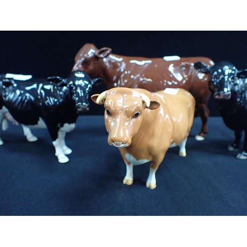 406 - A COLLECTION OF BESWICK COWS including Belted Galloway, with a Beswick bull, Sabrina's Sir Richmond ... 