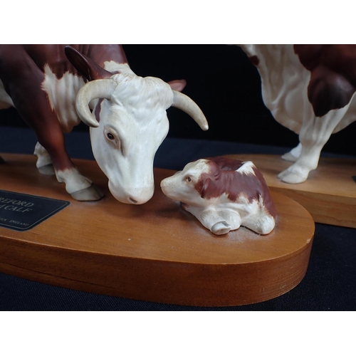 48 - A BESWICK HEREFORD BULL AND HEREFORD COW AND CALF Connoisseur series, on mounts