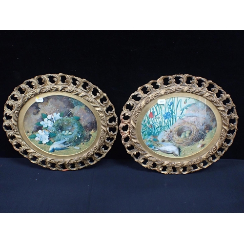 676 - A PAIR OF OVAL FRAMED BIRD PAINTINGS attributed to William Cruikshank, water and body, c.1870, 40cm ... 