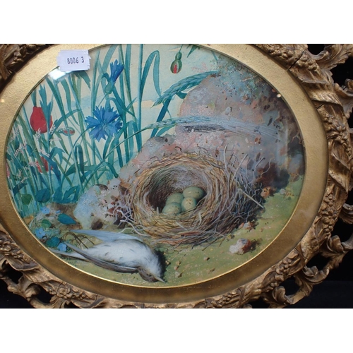 676 - A PAIR OF OVAL FRAMED BIRD PAINTINGS attributed to William Cruikshank, water and body, c.1870, 40cm ... 