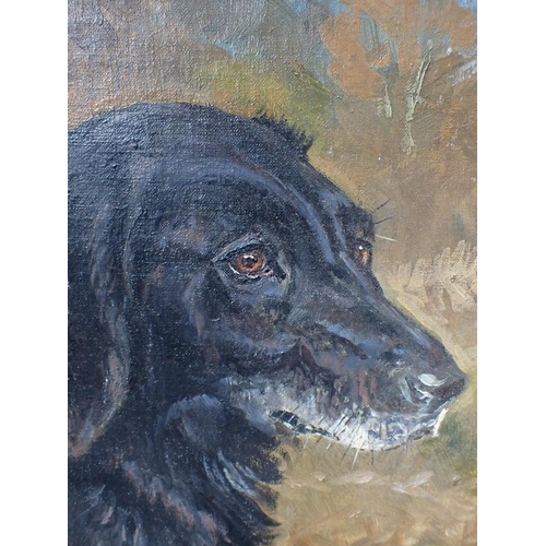 755 - GUN DOG 'HARDY' Oil on board and a framed WWI embroidery.