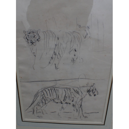 756 - IN THE MANNER OF JOHN SKEAPING studies of a tiger in London Zoo, chalk, 1930s, 46 x 57 cms, with wat... 