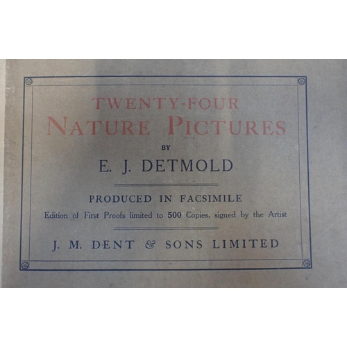 765 - E J DETMOLD NATURE PICTURES, J M DENT LTD, 1919 portfolio containing 15 of the 24 images in the orig... 