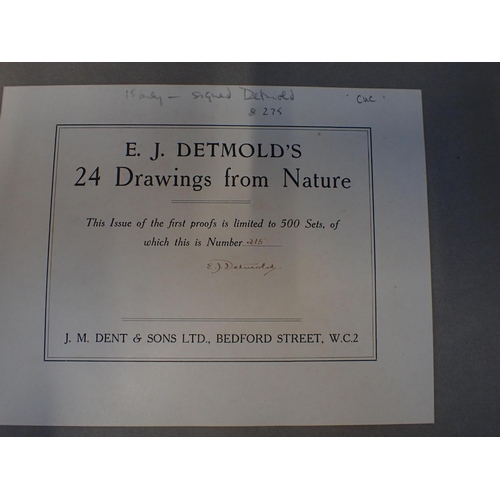 765 - E J DETMOLD NATURE PICTURES, J M DENT LTD, 1919 portfolio containing 15 of the 24 images in the orig... 