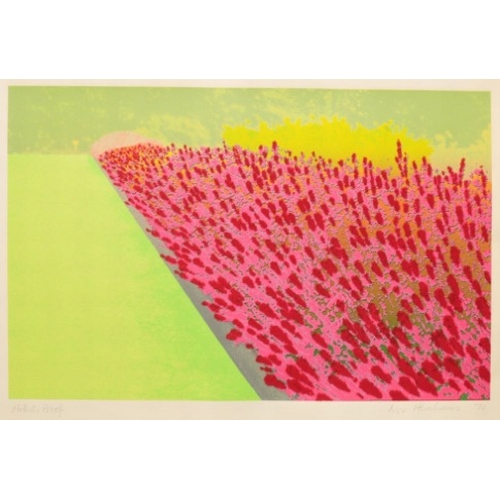 153 - *IVOR ABRAHAMS (1935-2015) 'Privacy Plot: Flower Garden'

1970, signed and dated in pencil lower rig... 