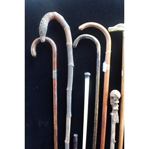 24 - A COLLECTION OF WALKING STICKS, ONE WITH 18ct GOLD MOUNT by Brigg,  one vertebrae stick (a/f), one s... 