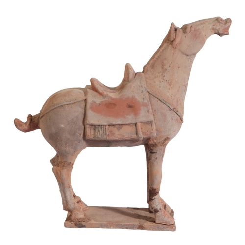 72 - A CHINESE TANG DYNASTY HORSE

figured with saddle on its back and head raised, elements of coloured ... 