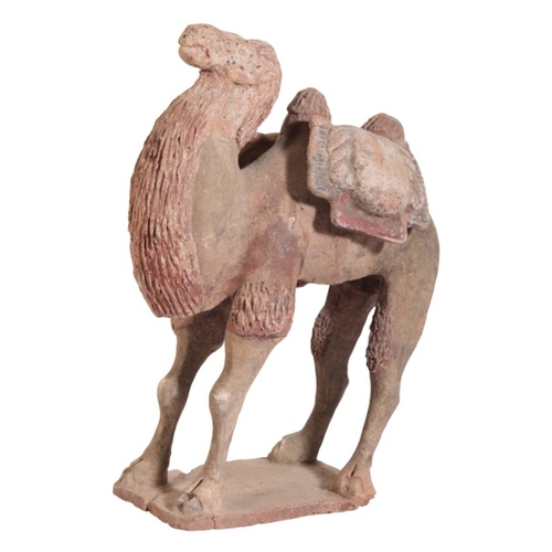 73 - A CHINESE MODEL OF A CAMEL

Northern Qi or Tang dynasty, figured laden with saddle bags, 36cm high x... 