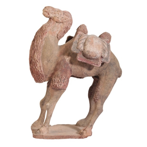 73 - A CHINESE MODEL OF A CAMEL

Northern Qi or Tang dynasty, figured laden with saddle bags, 36cm high x... 