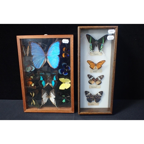 164 - TWO FRAMED SETS OF MOUNTED BUTTERFLIES from South America and other exotic parts