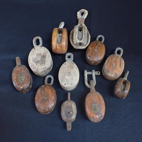 Lot 226       
