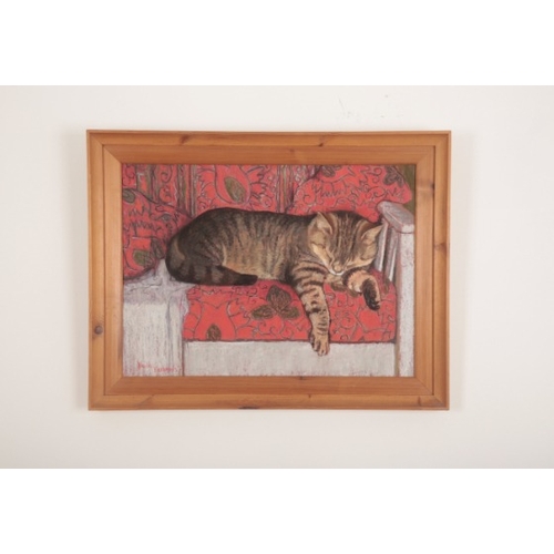 23 - PAULA HUMPHRIS (20TH CENTURY) A sleeping cat

signed, pastel, 47cm x 64cm, in pine frame and glazed
... 