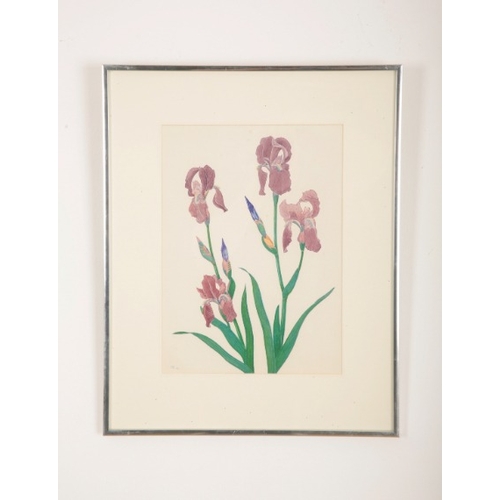 47 - *STEPHEN WALTER (1878-1974) Four botanical studies

circa 1940s, each monogrammed, watercolours, the... 