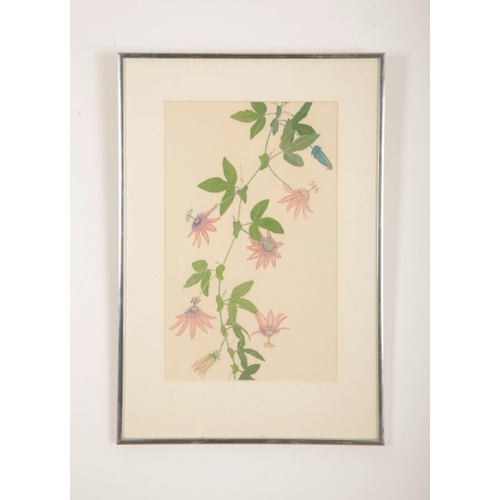 47 - *STEPHEN WALTER (1878-1974) Four botanical studies

circa 1940s, each monogrammed, watercolours, the... 