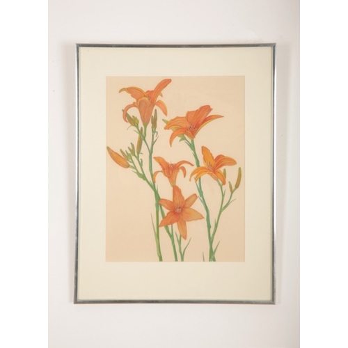 47 - *STEPHEN WALTER (1878-1974) Four botanical studies

circa 1940s, each monogrammed, watercolours, the... 