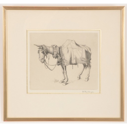 64 - *WILFRED R. E. FAIRCLOUGH (1907-1996) 'Spanish Mule'

signed in pencil to the margin, engraving, the... 