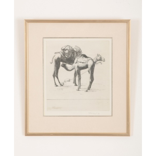 65 - *WILFRED R. E. FAIRCLOUGH (1907-1996) 'Camels, Mother & Child'

signed and dated 1955 in pencil to t... 