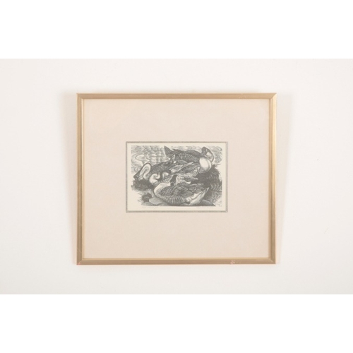 75 - *LESLIE CHARLOTTE BENENSON (1941-2018) 'Mallards'

signed, dated 1962, titled and numbered 28/50 in ... 